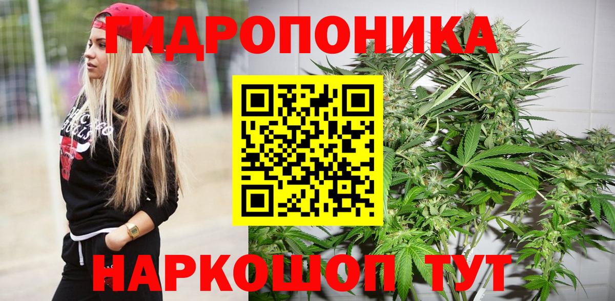Бошки Шишки планчик  МАРИХУАНА Ganja  Вход с VPN  Ессентуки  Конопля THC 21% 